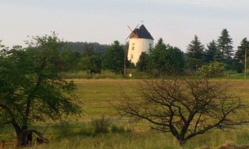 Reitzendorfer Windmühle