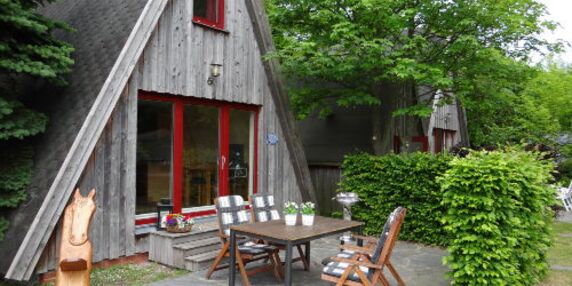 Ferienhaus Finnhütte Wittenbecker Tannen in Wittenbeck - kleines Detailbild