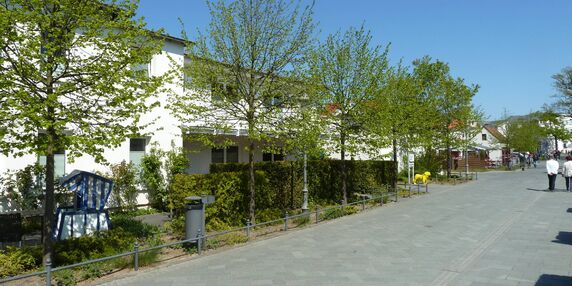 Haus Frohsinn - Wohnung 2 in Ostseebad Binz - kleines Detailbild