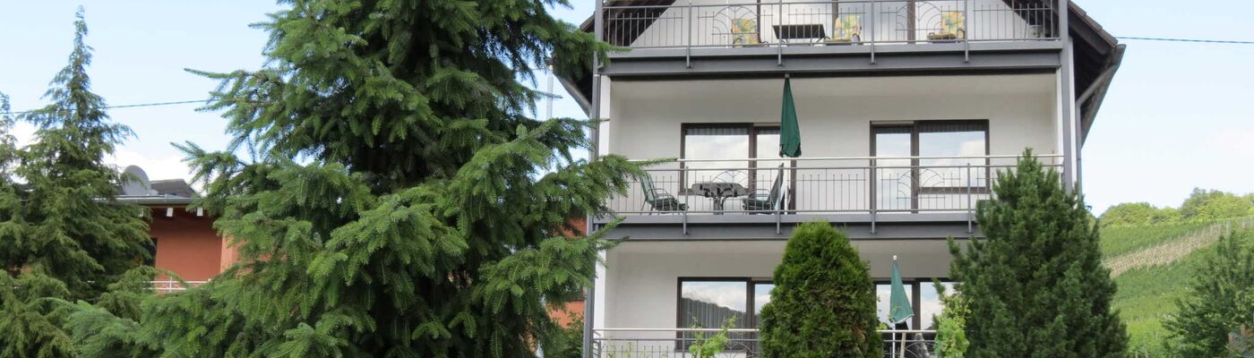 Ferienwohnung Haus Berghof in NeumagenDhron RheinlandPfalz