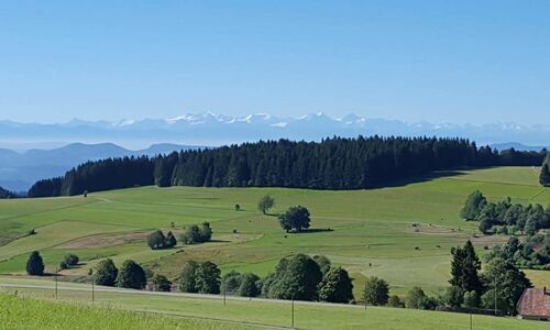 Zwischen Schwarzwald und der Schweiz