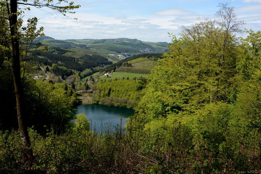 Naturschwimmbad Pfalz