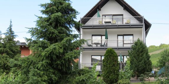 Ferienwohnung Haus Berghof in Neumagen-Dhron - kleines Detailbild