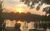 Ferienwohnung Bestensee in Bestensee - Sonnenuntergang am Steg