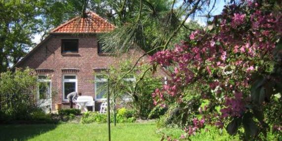 Haus Gröning - Ferienwohnung Südgarten in Dangast - kleines Detailbild