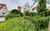 Haus Heidelbeere 22, Ferienwohnung Alltagspause in Seeheilbad Graal-Mritz - Blick zum Haus