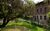 Ferienwohnung im Landhaus Neparmitz, Ferienwohnung Birke in Poseritz - Auenansicht-Frontansicht mit Garten