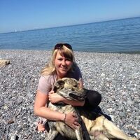 Vermieter: Mit Hund "Bommel" an den Kreidefelsen
