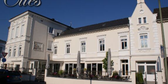 Villa-Cues - Cusanus Apartment in Bernkastel-Kues - kleines Detailbild