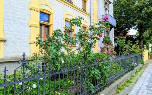 Ferienwohnung Ferienhaus In Stralsund Mieten Ferienwohnungen De