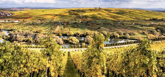 Weinanbaugebiete Franken