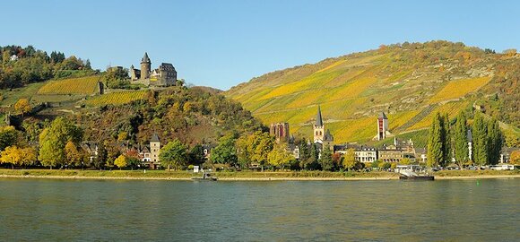 Weinanbaugebiete Pfalz