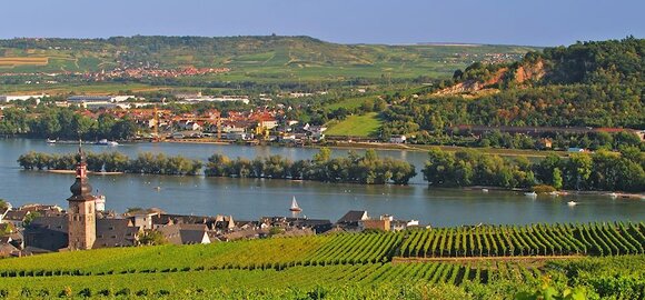 Weinanbaugebiete Rheingau