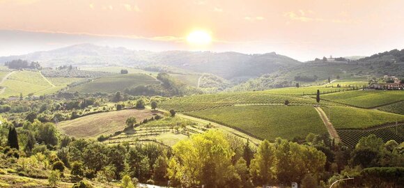 Weinanbaugebiete Toskana