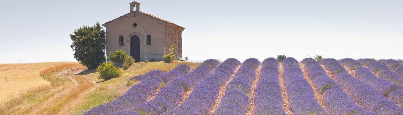 vaucluse kapelle lavendel provence